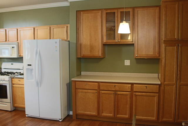 2420 Reflections Dr, Aurora, IL 60502 photo 8