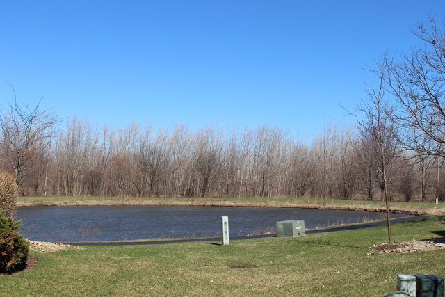2420 Reflections Dr, Aurora, IL 60502 photo 25