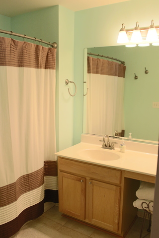 2420 Reflections Dr, Aurora, IL 60502 photo 12