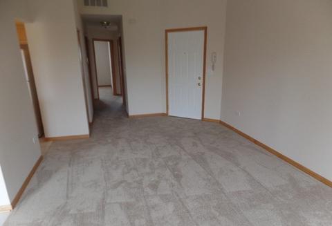 21221 W Walnut Dr #B, Plainfield, IL 60544 photo 4