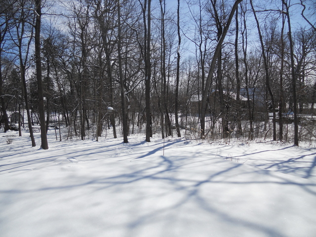 28415 Highview Rd, Mchenry, IL 60051 photo 23