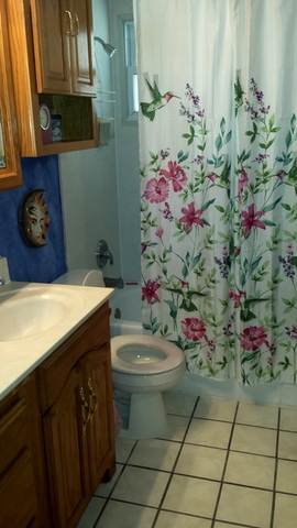 4606 Lawndale Ave, Lyons, IL 60534 photo 8