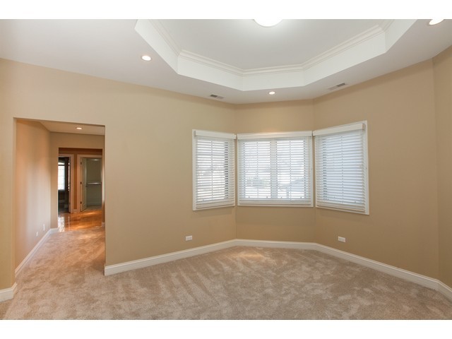 711 N Wright St, Naperville, IL 60563 photo 21