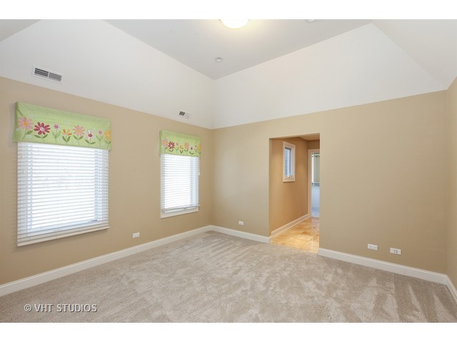 711 N Wright St, Naperville, IL 60563 photo 19
