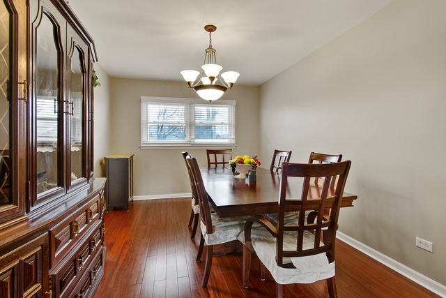 1104 E Alder Ln, Mount Prospect, IL 60056 photo 12