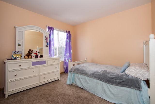 14104 Franklin Ct, Plainfield, IL 60544 photo 14