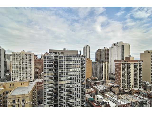 20 E Cedar St #17D, Chicago, IL 60611 photo 22
