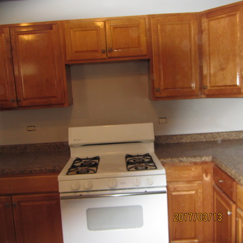 3021 E 79th St, Chicago, IL 60649 photo 4