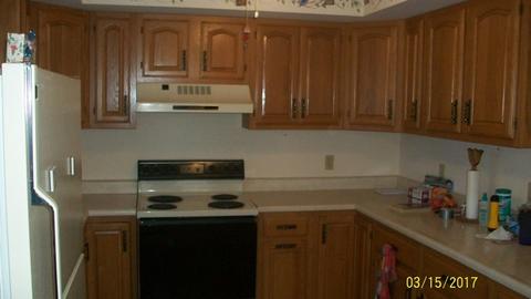 111 S Bend Dr, Onarga, IL 60955 photo 15