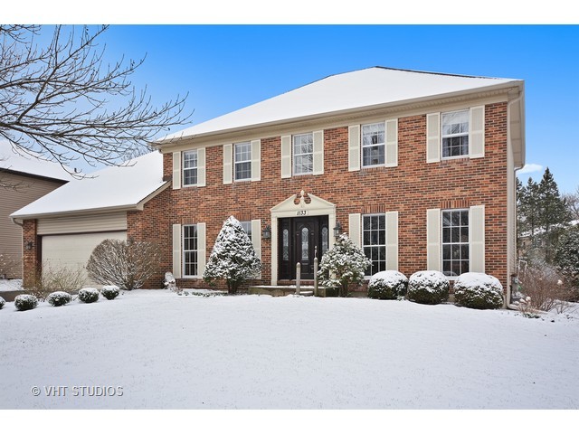 1133 Johnson Dr, Naperville, IL 60540 photo 1