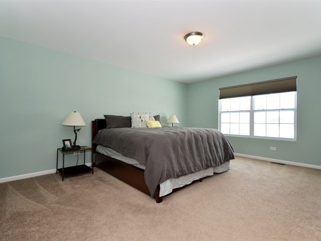 1504 S Saddlebrook Ln, Minooka, IL 60447 photo 13