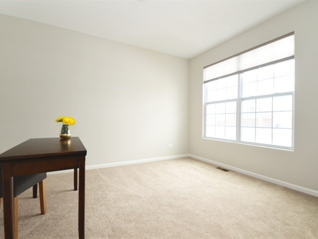 1504 S Saddlebrook Ln, Minooka, IL 60447 photo 4