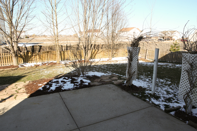 1905 Glacier Ridge Dr, Plainfield, IL 60586 photo 23