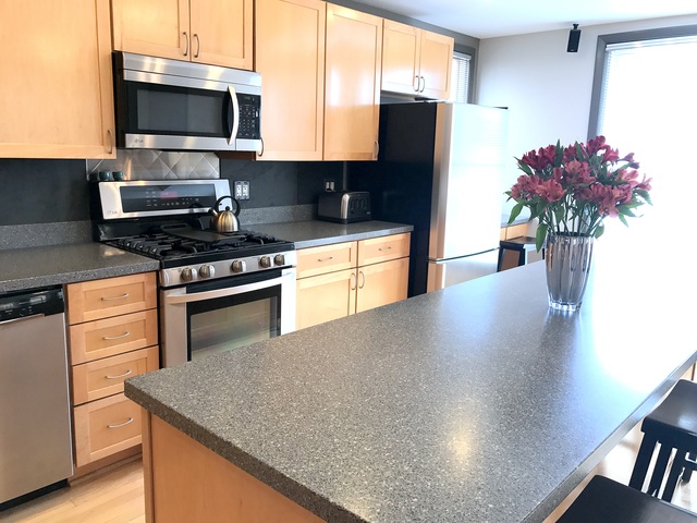 2017 W Warner Ave, Chicago, IL 60618 photo 9