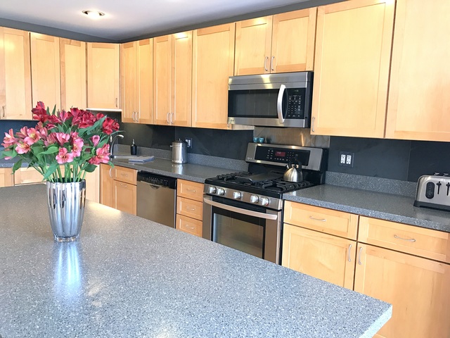 2017 W Warner Ave, Chicago, IL 60618 photo 10
