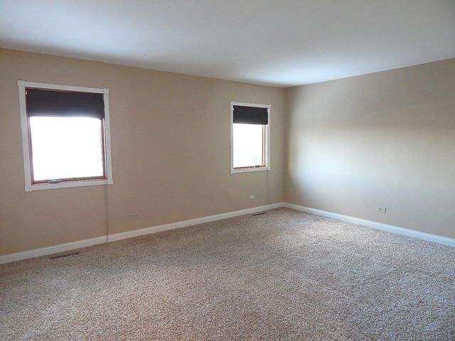 377 Teal Rd, Lindenhurst, IL 60046 photo 19