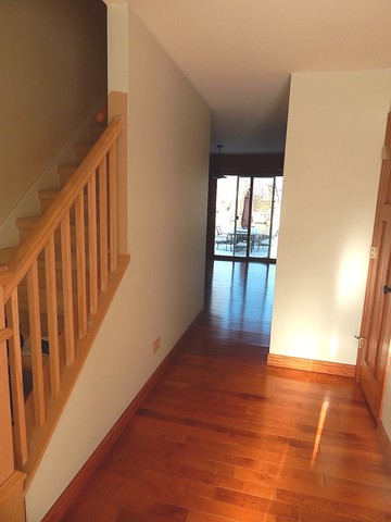 377 Teal Rd, Lindenhurst, IL 60046 photo 2