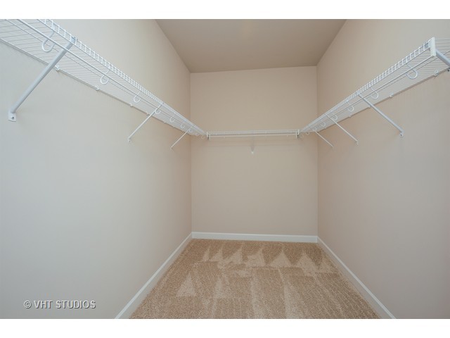 3640 Ancient Oak Dr, Elgin, IL 60124 photo 11