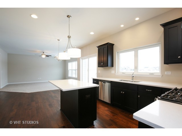 3638 Ancient Oak Dr, Elgin, IL 60124 photo 8