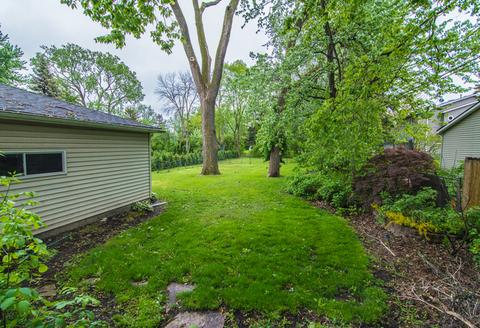 1623 Whitcomb Ave, Des Plaines, IL 60018 photo 23