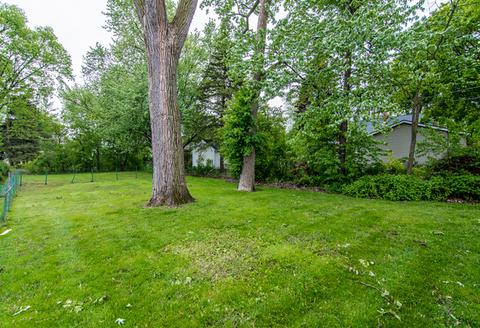 1623 Whitcomb Ave, Des Plaines, IL 60018 photo 26