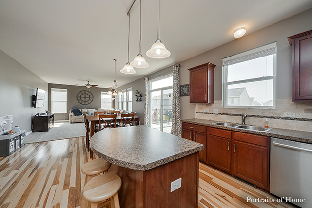 1605 Elysium Dr, Minooka, IL 60447 photo 8
