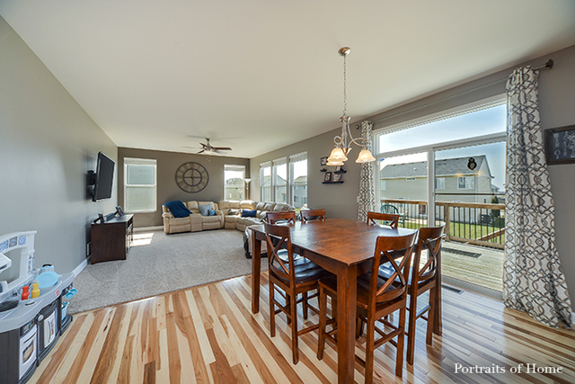 1605 Elysium Dr, Minooka, IL 60447 photo 9