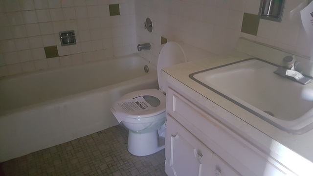 1000 E 150th Pl, Dolton, IL 60419 photo 9