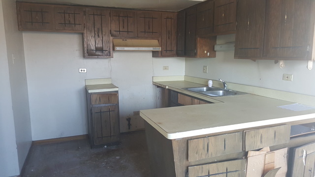 1000 E 150th Pl, Dolton, IL 60419 photo 2