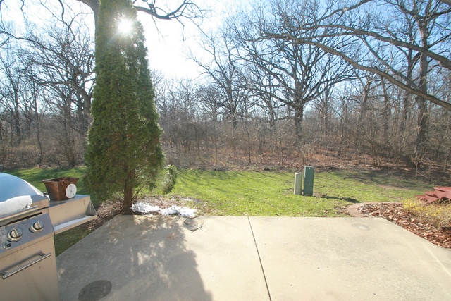 2617 Oak Tree Ln, Plainfield, IL 60586 photo 14