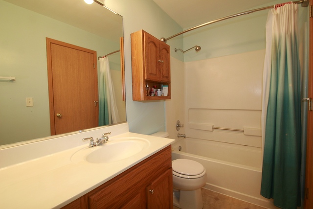 2617 Oak Tree Ln, Plainfield, IL 60586 photo 12