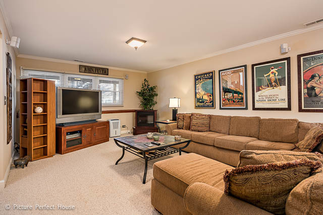 459 River Front Cir, Naperville, IL 60540 photo 23
