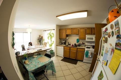 2960 Northampton Dr #B2, Rolling Meadows, IL 60008 photo 8