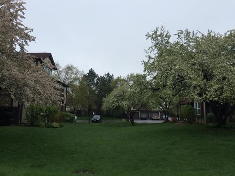 2960 Northampton Dr #B2, Rolling Meadows, IL 60008 photo 3