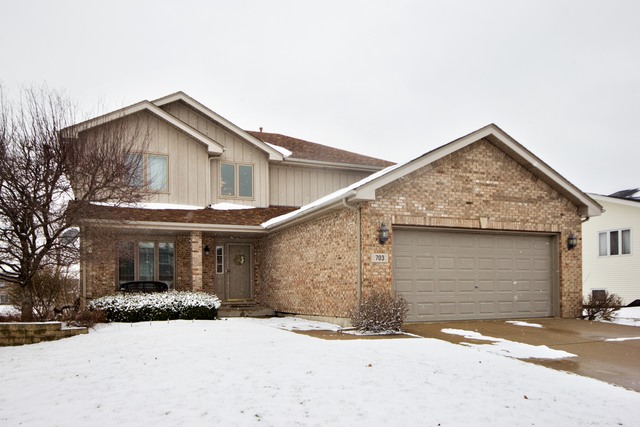 703 Edgewater Dr, Minooka, IL 60447 photo 1