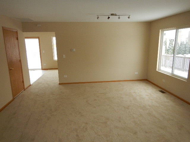 25137 Declaration Dr, Plainfield, IL 60544 photo 3