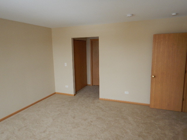 25137 Declaration Dr, Plainfield, IL 60544 photo 12