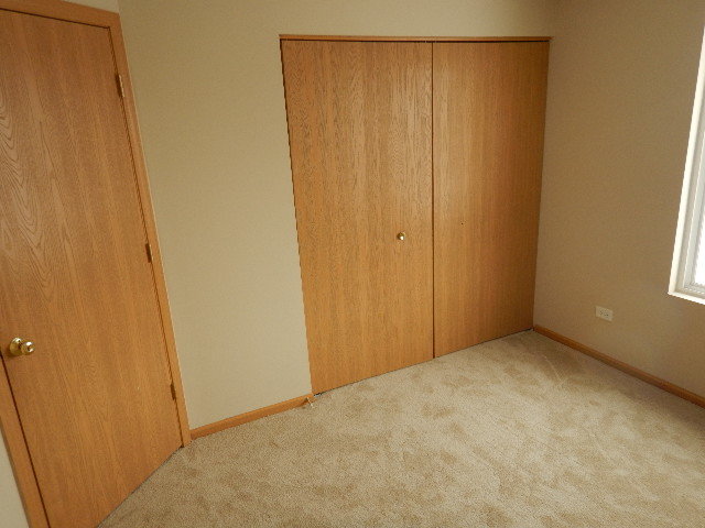 25137 Declaration Dr, Plainfield, IL 60544 photo 9