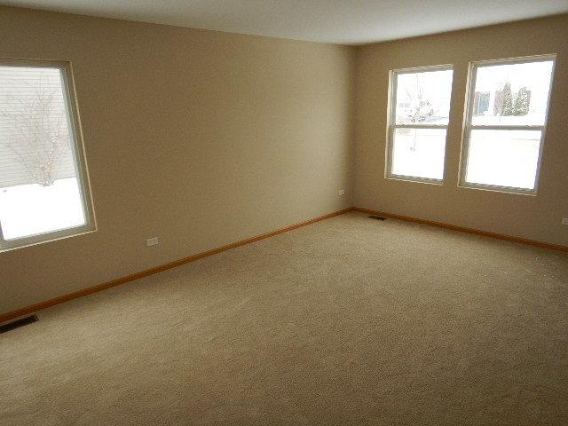 25137 Declaration Dr, Plainfield, IL 60544 photo 4
