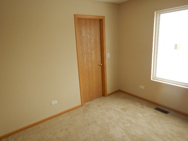 25137 Declaration Dr, Plainfield, IL 60544 photo 10