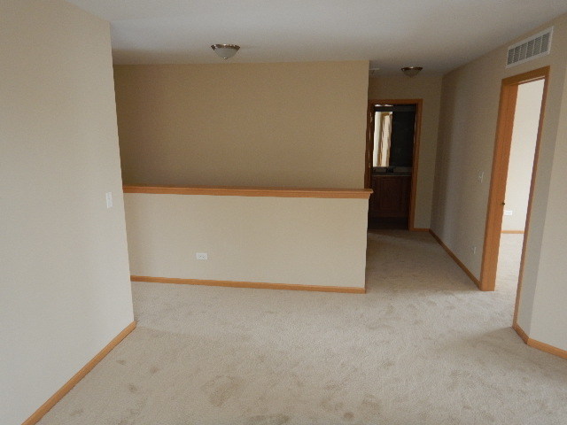 25137 Declaration Dr, Plainfield, IL 60544 photo 8