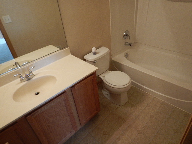 25137 Declaration Dr, Plainfield, IL 60544 photo 11