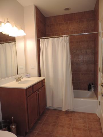 460 East Ct, Elmhurst, IL 60126 photo 22
