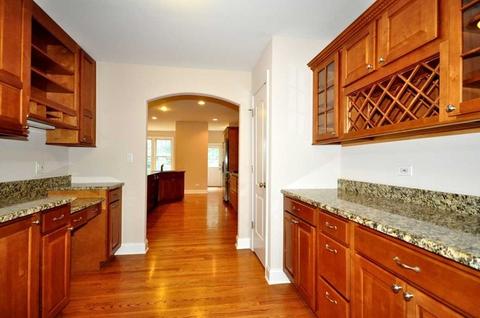 460 East Ct, Elmhurst, IL 60126 photo 8