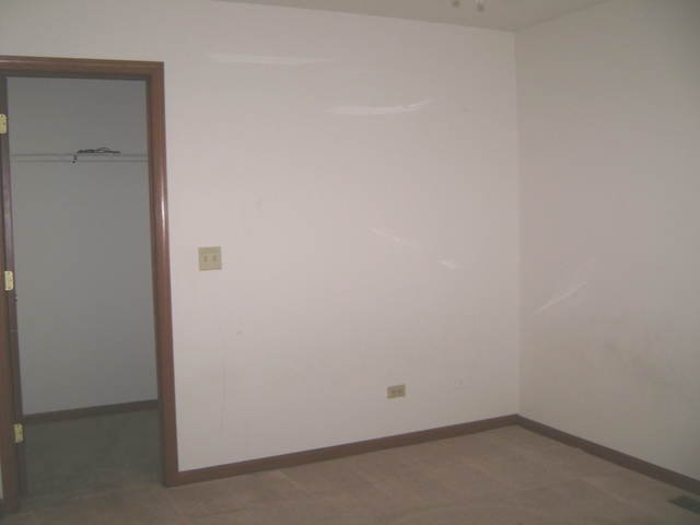 1702 Whispering Oaks Dr, Plainfield, IL 60544 photo 9