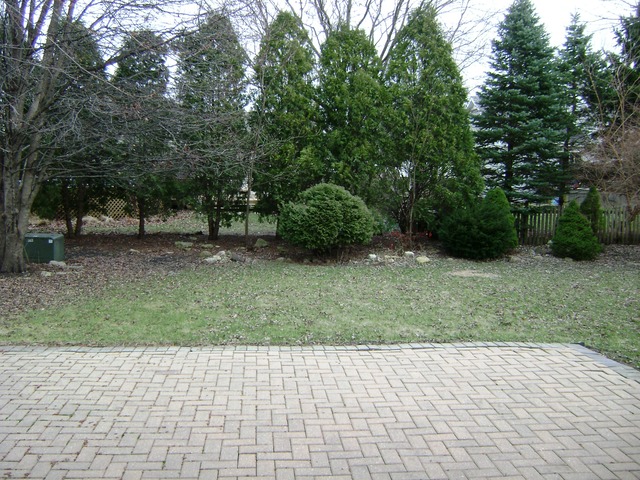 1702 Whispering Oaks Dr, Plainfield, IL 60544 photo 3