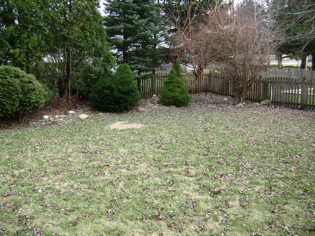 1702 Whispering Oaks Dr, Plainfield, IL 60544 photo 4