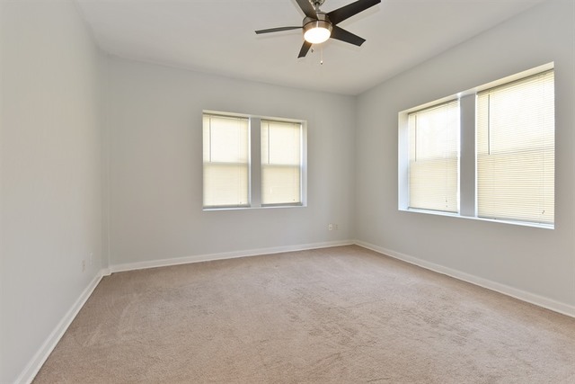 1017 E 46th St #GN, Chicago, IL 60653 photo 11