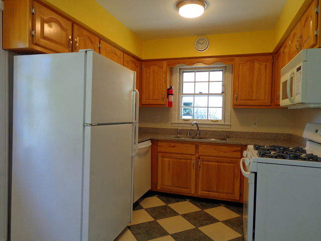 931 Wayne Ave, Deerfield, IL 60015 photo 5