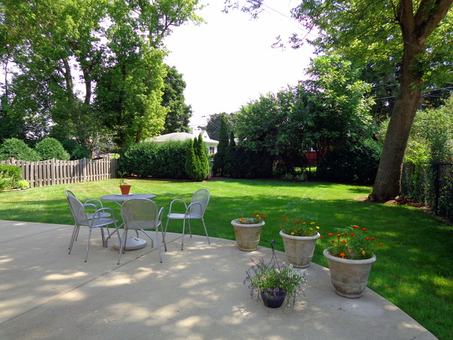 931 Wayne Ave, Deerfield, IL 60015 photo 17